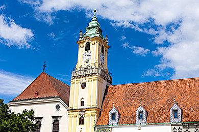 可爱动物+随机脸游？《动物防守vs》一探究竟