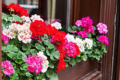 纸嫁衣工作室新作《黑暗笔录》上架Steam 可加入愿望单